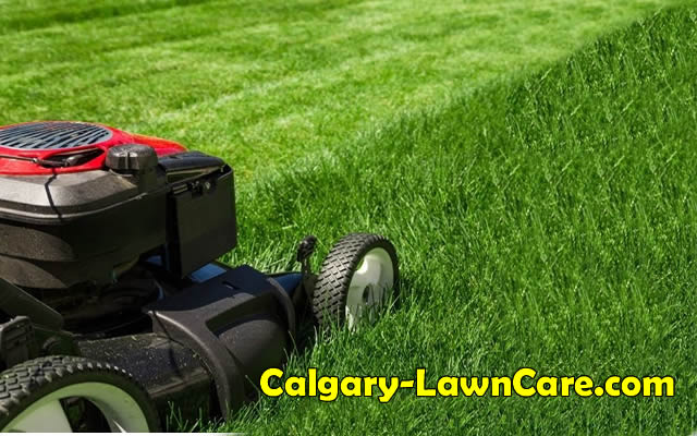 Calgary Lawn Care