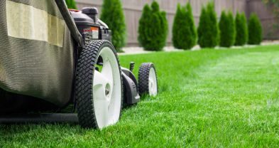 Is Paying for Lawn Mowing Services Worth It?